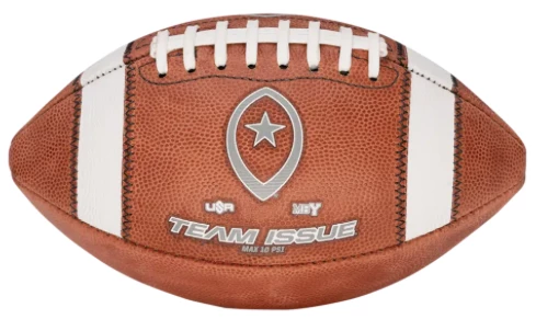 Big Game Leather Football Footballs
