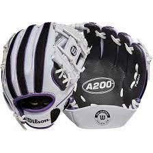 Wilson Sporting Goods Equipment Wilson A200 EZ Catch 10" Glove